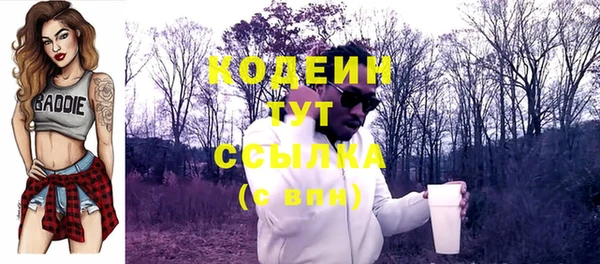 индика Пестово