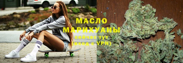 индика Пестово