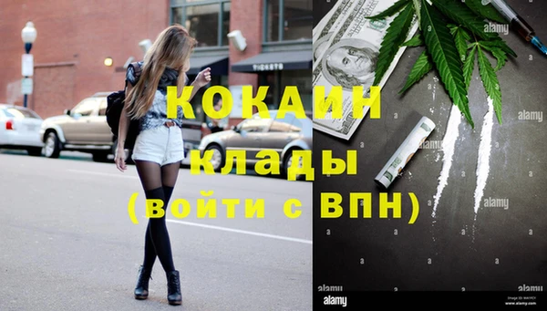 прущие крисы Болохово