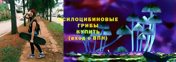 соль курить ск Болотное