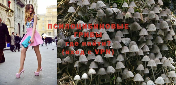 индика Пестово