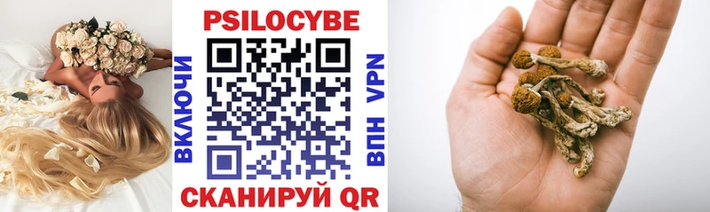 Псилоцибиновые грибы Psilocybe  Борисоглебск 