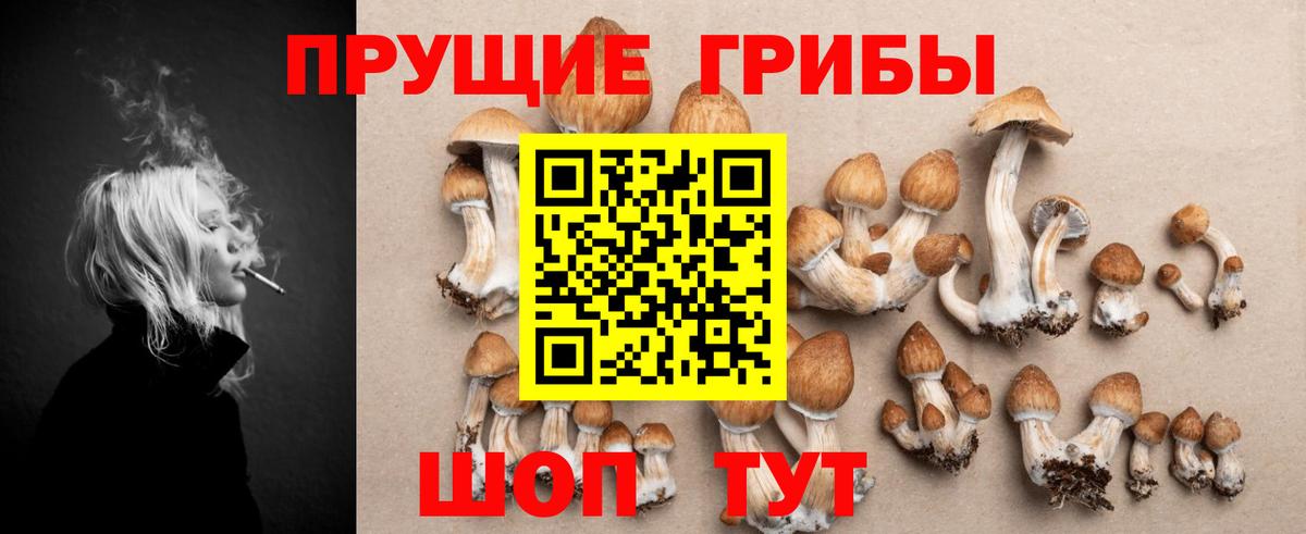 Галлюциногенные грибы Cubensis Борисоглебск
