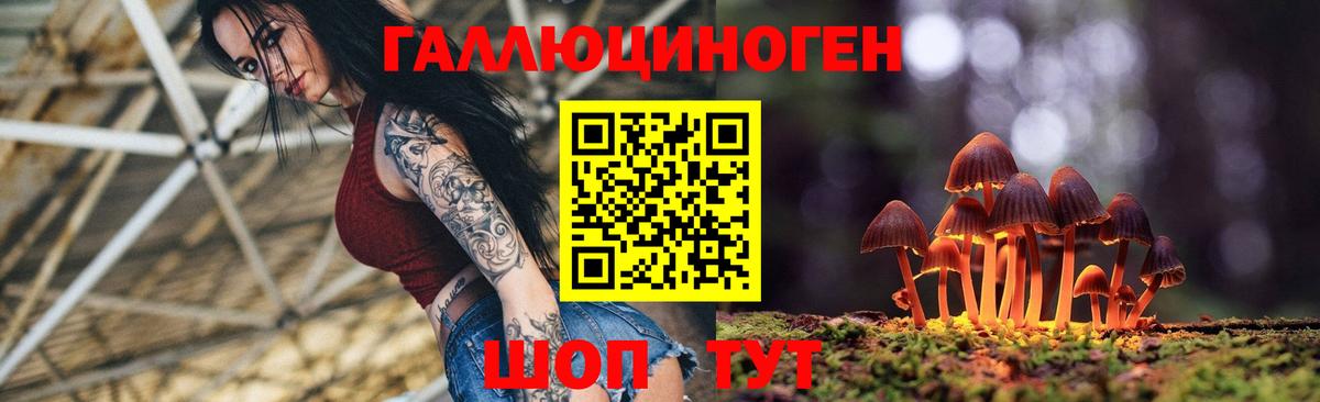 Псилоцибиновые грибы Cubensis  Борисоглебск  Псилоцибиновые грибы прущие грибы 