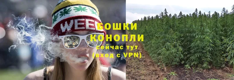 где продают наркотики  Борисоглебск  Конопля Ganja 