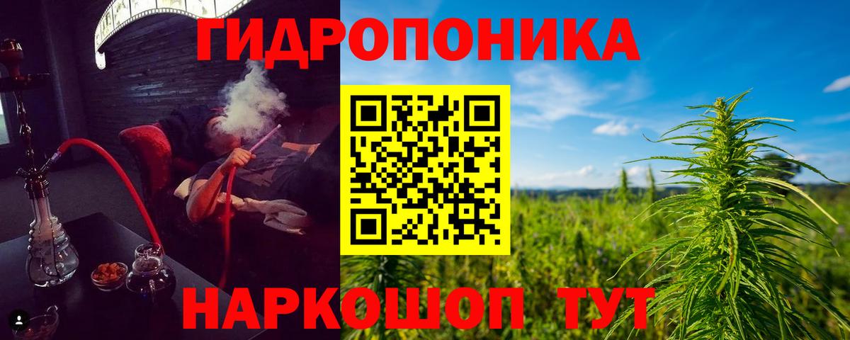 Канабис гибрид  Борисоглебск  Каннабис конопля  Шишки марихуана OG Kush  Бошки Шишки THC 21% 